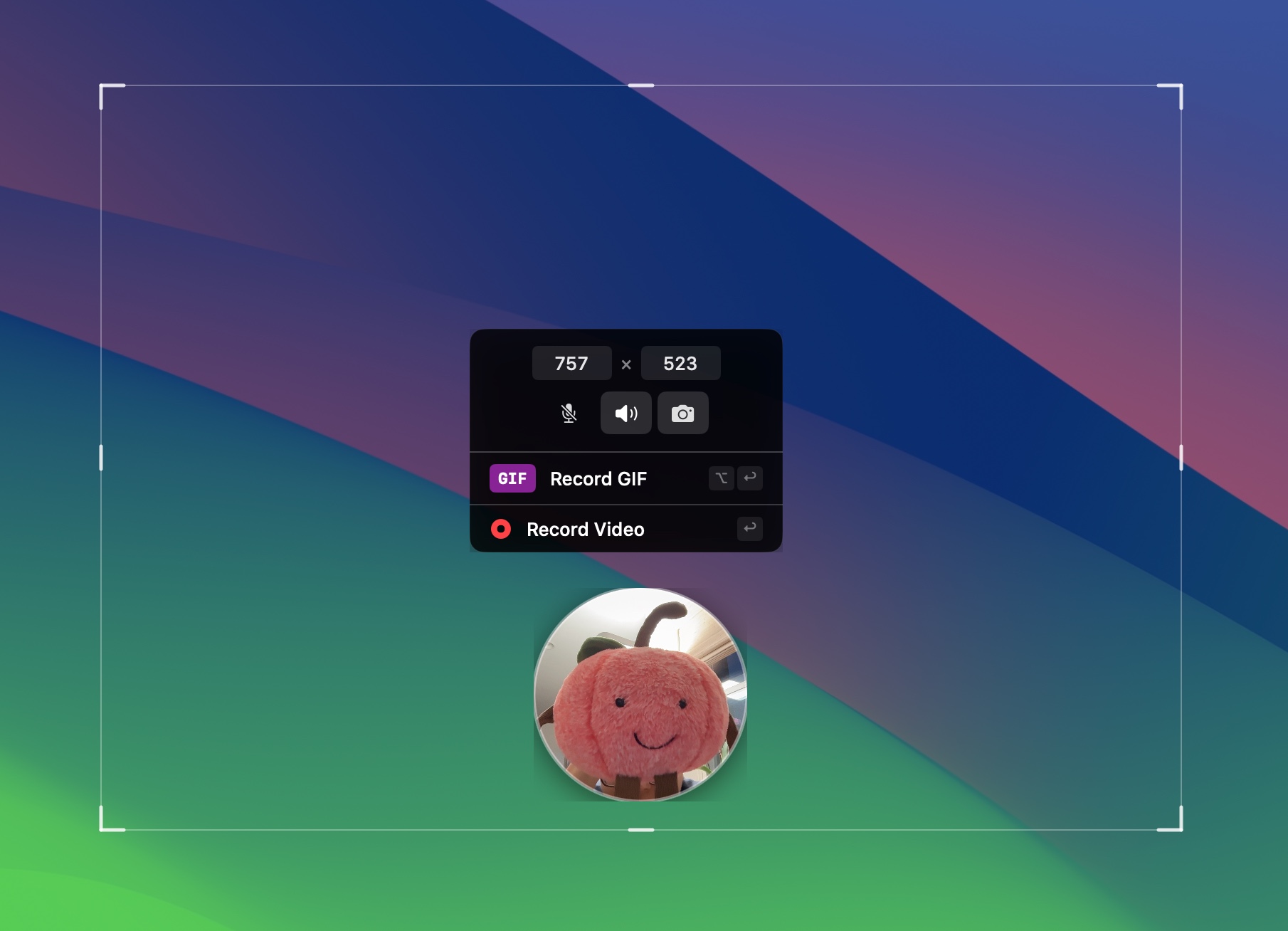 Screen recording with webcam PiP